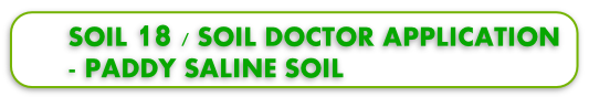 SOIL 18 / SOIL DOCTOR APPLICATION 
- PADDY SALINE SOIL